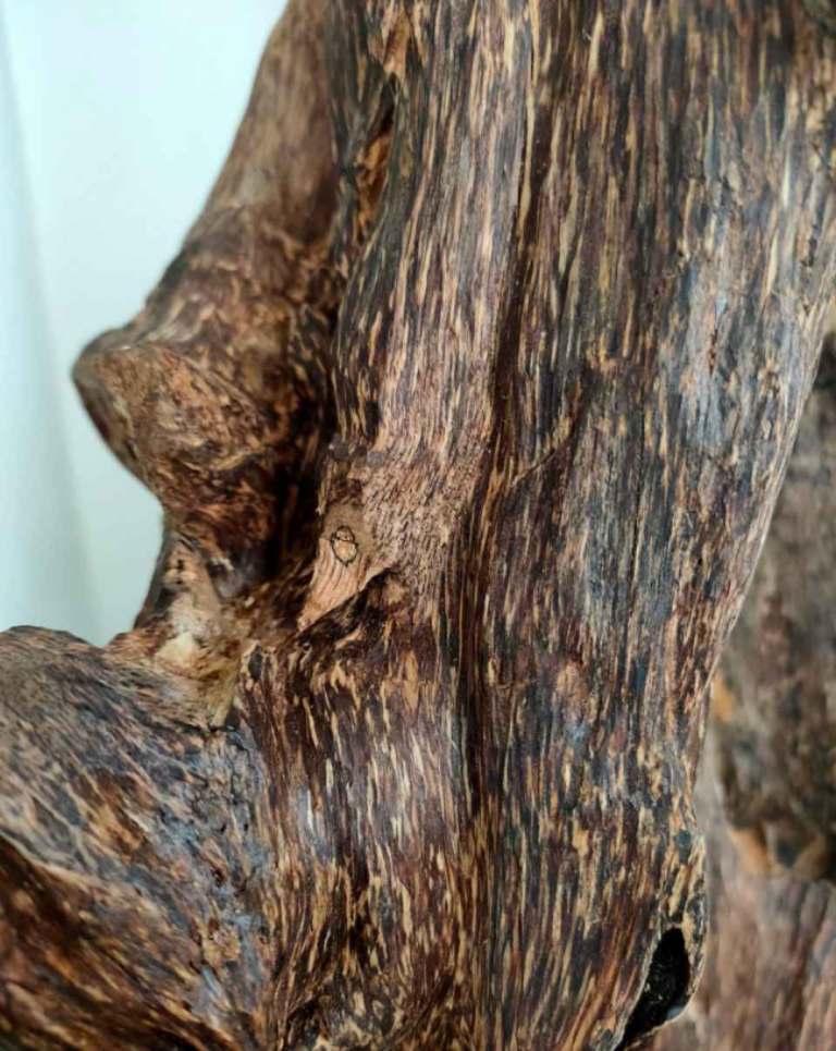 trầm hương tự nhiên trầm hương tự nhiên